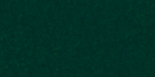 75ml Permanent Viridian Lake GRC41242 +++ T