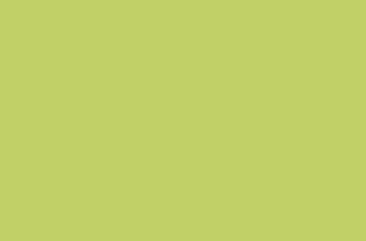 220g Light Green 10 - 50x70cm