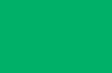 220g Green 11 - 50x70cm
