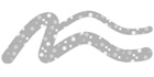 1,2mm Silver 12