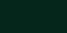45ml Bronze Green 28 (T)