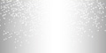 Glitter Silver 892