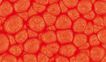 45ml Vermilion 12