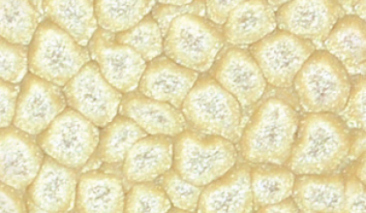 45ml Eggshell White 20