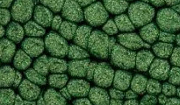 45ml Leaf 29