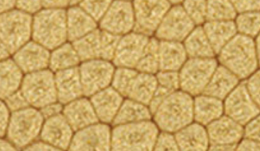 45ml Antique Gold 32