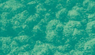 45ml Emerald 18
