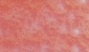 45ml Coral 19