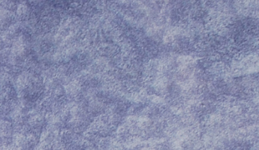 45ml Lilac 22