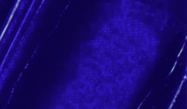 Ultramarine Blue 14 200ml +++ T