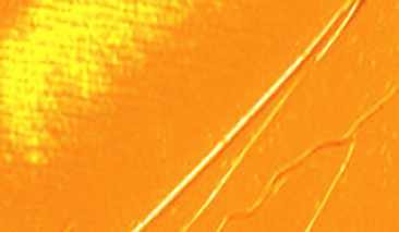 Precious Gold 55 200ml +++ O