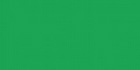 Emerald Green 42 100ml ++ O