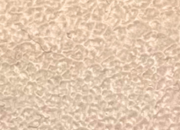 45ml Pink Beige 19