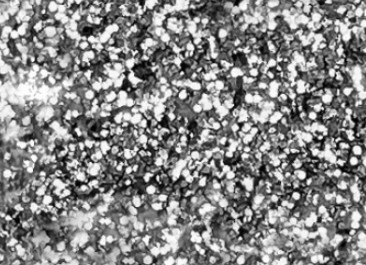 45ml Glitter Silver 36