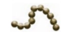 20ml Brod'Perle Gold 206