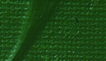 Hooker's Green 44 100ml ++ ST