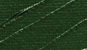 Sap Green 59 100ml ++ ST