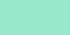 Turquoise 113 100ml