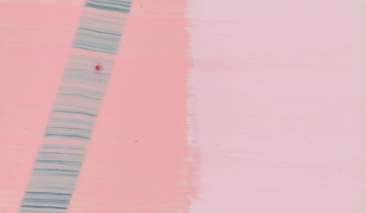 37ml Portait Pink 249 S2 +++ O