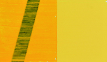 37ml Deep Cadmium Yellow 306 S3 +++ O
