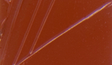 Red Ochre 42 37ml +++ O