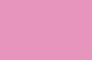 Rose 05