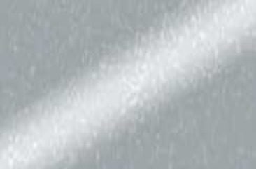 Silver 13