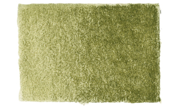 Olive Green Yellowish 173 +