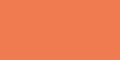 Apricot 26