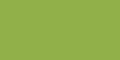 Metallic Light Green 843