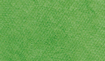 20ml/30gr Emerald Green