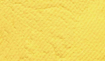 20ml/30gr Ochre