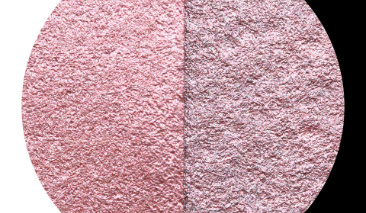 Rose C006