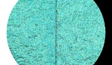 Caribbean C056