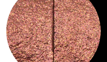 Cinnamon C058