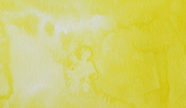 Lemon Yellow 40 +++