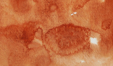 Burnt Sienna 46 +++