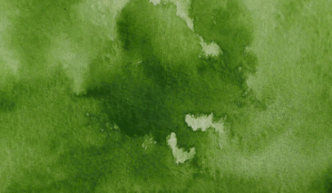 Sap Green 53 +++