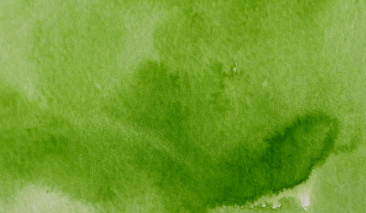 Sap Green Light 51 +++