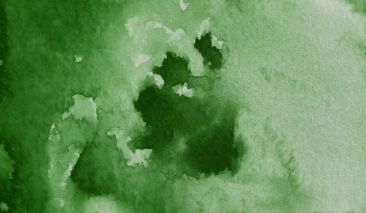Hooker's Green 52 +++