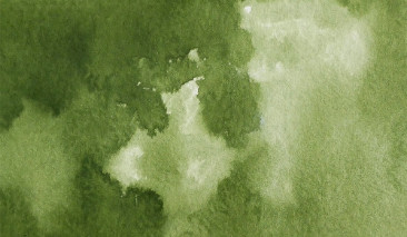 Olive Green 54 +++