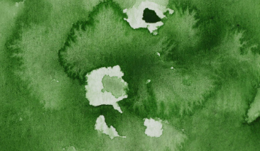 Sap Green Deep 58 +++