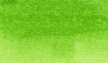 Light Green 041