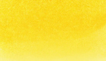 Yellow 050