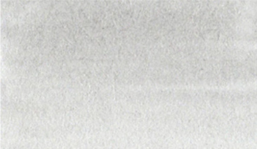 Light Gray 091