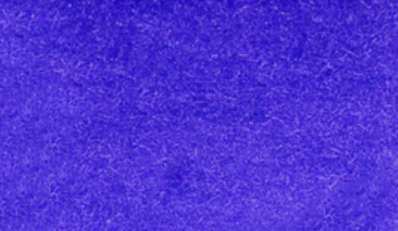 Deep Violet 084
