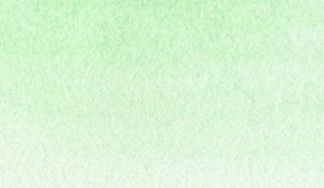 Green Shadow 049