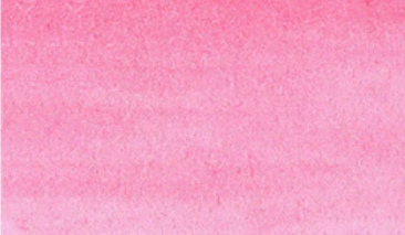Pink Flamingo 222