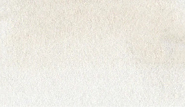 Warm Gray 1 900