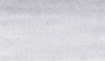 Fog Gray 904